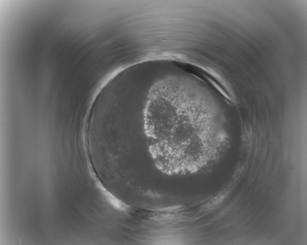 X0000063501054200602172113