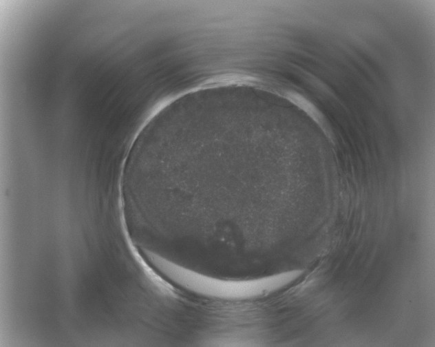 X0000063501055200602172113