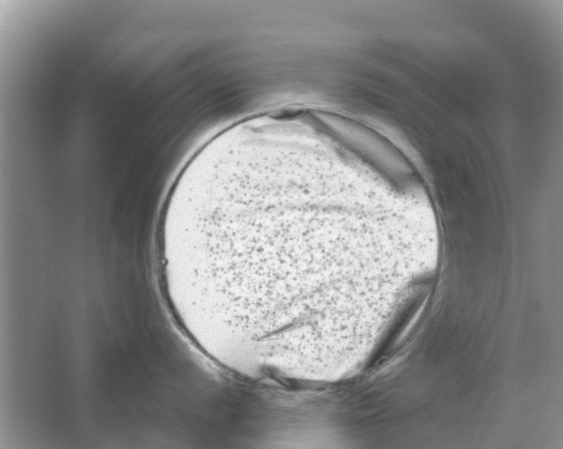 X0000063501056200602172114