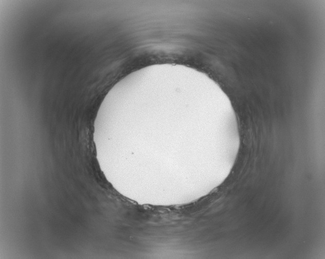 X0000063501061200602172113