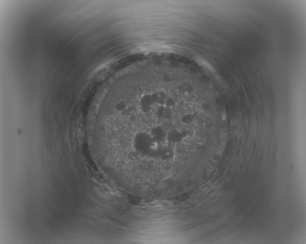 X0000063501063200602172113