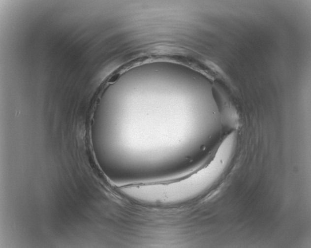 X0000063501065200602172113