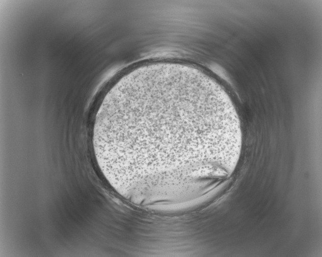 X0000063501067200602172112