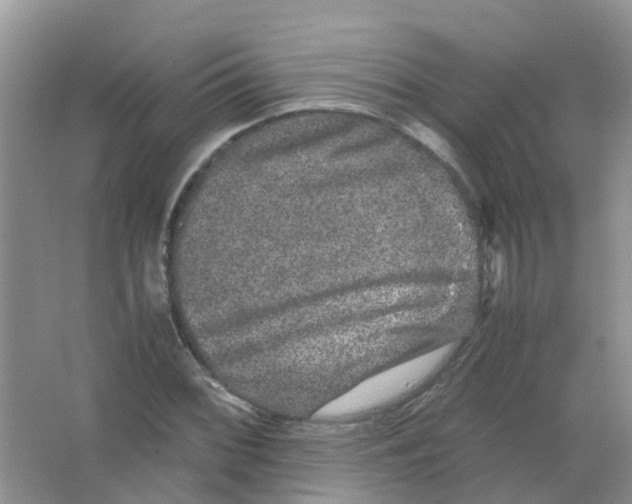 X0000063501068200602172112