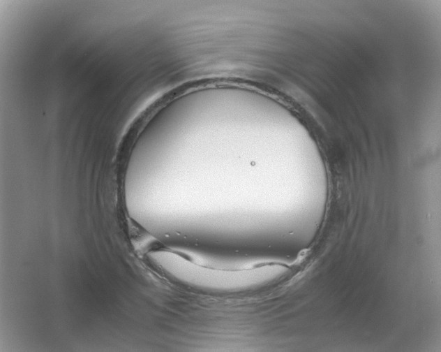 X0000063501069200602172112