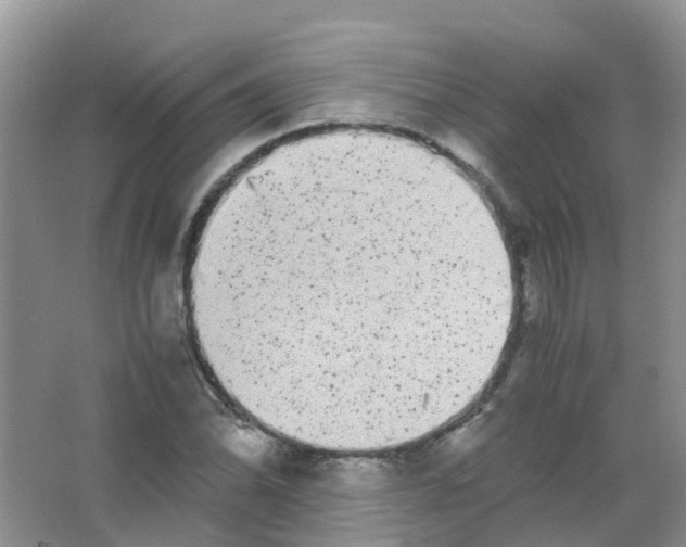 X0000063501070200602172112