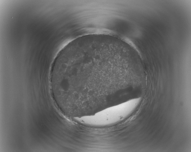 X0000063501071200602172112