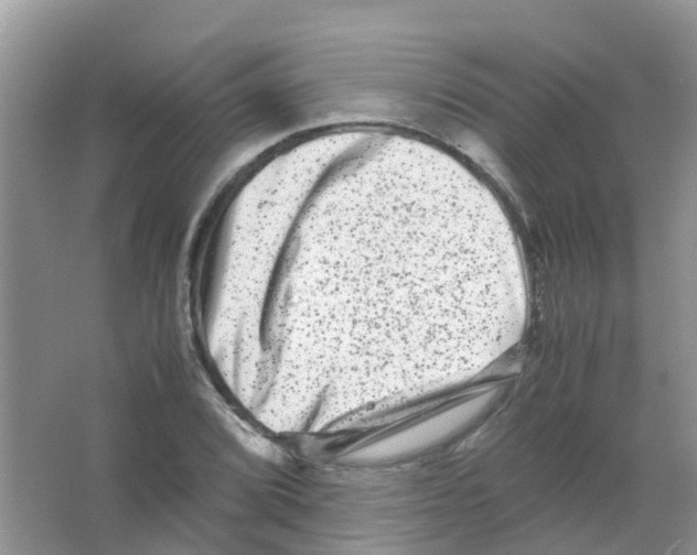 X0000063501072200602172112