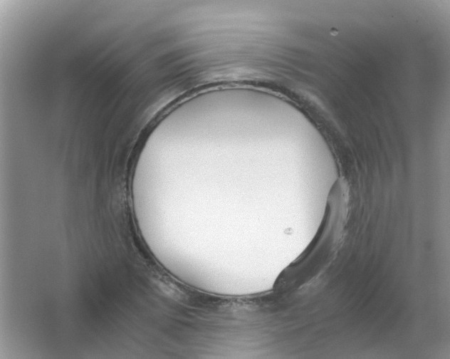 X0000063501073200602172112