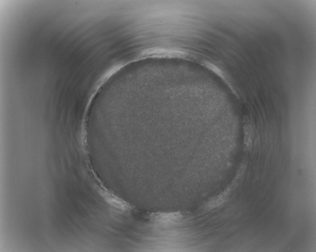 X0000063501074200602172112