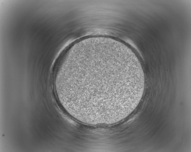 X0000063501075200602172112