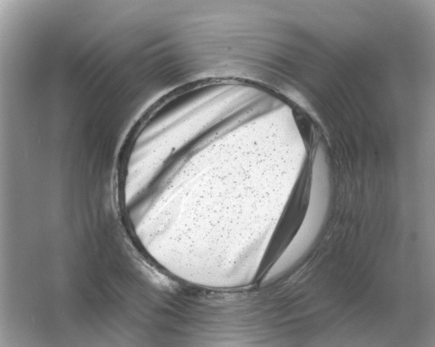 X0000063501076200602172112