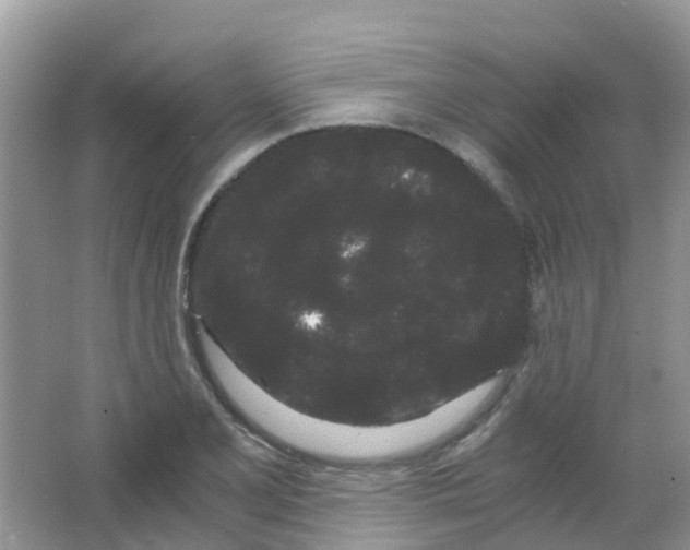 X0000063501077200602172112