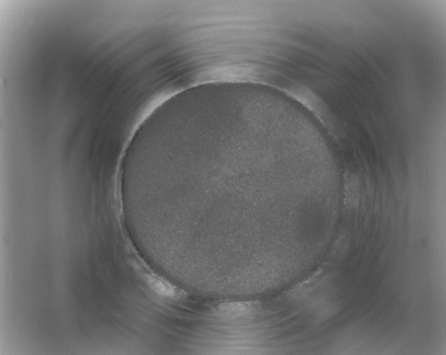 X0000063501078200602172112