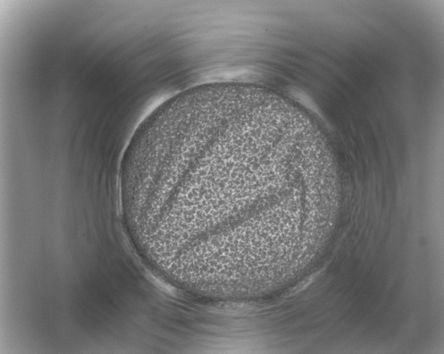 X0000063501079200602172112