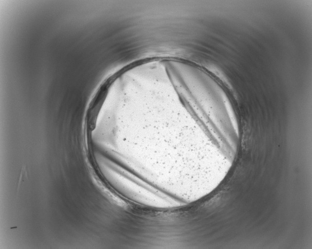 X0000063501080200602172112