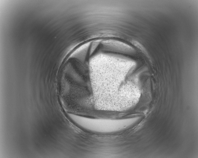 X0000063501081200602172112