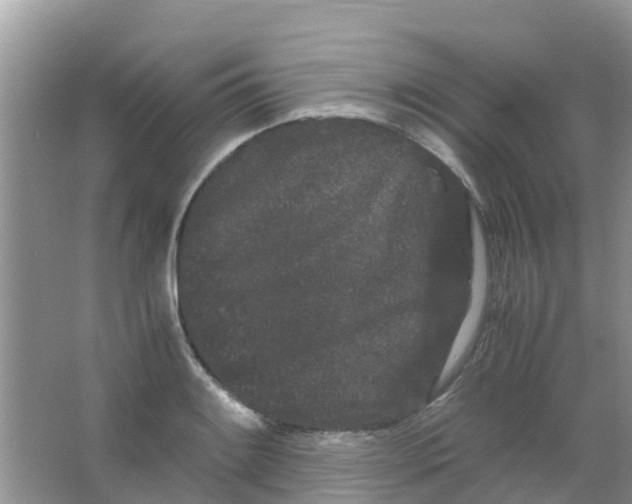 X0000063501084200602172112