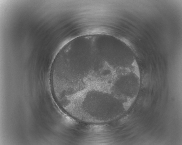 X0000063501086200602172112