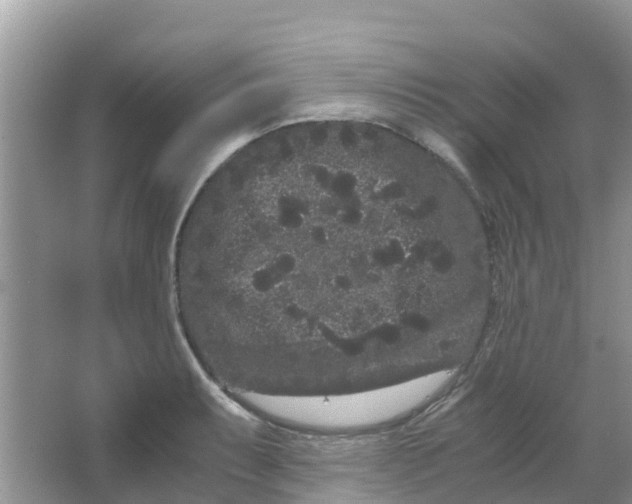 X0000063501087200602172112