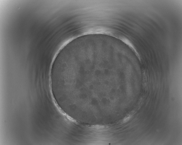 X0000063501088200602172112