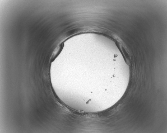 X0000063501089200602172112