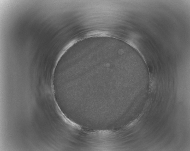 X0000063501090200602172112