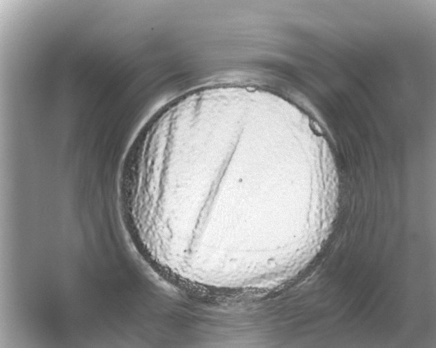 X0000063501091200602172112