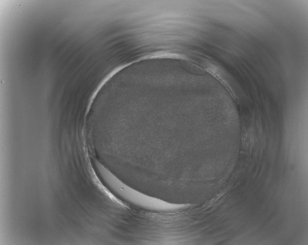 X0000063501092200602172112