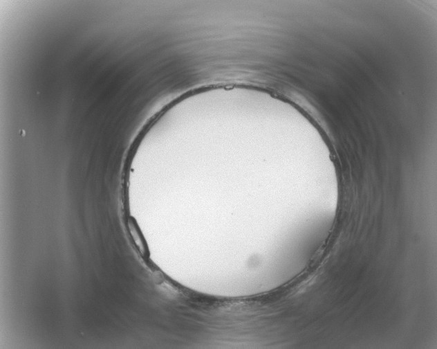 X0000063501093200602172112