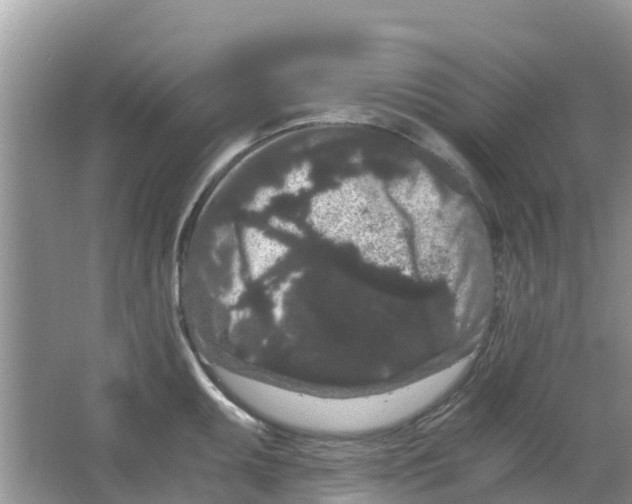 X0000063501095200602172112