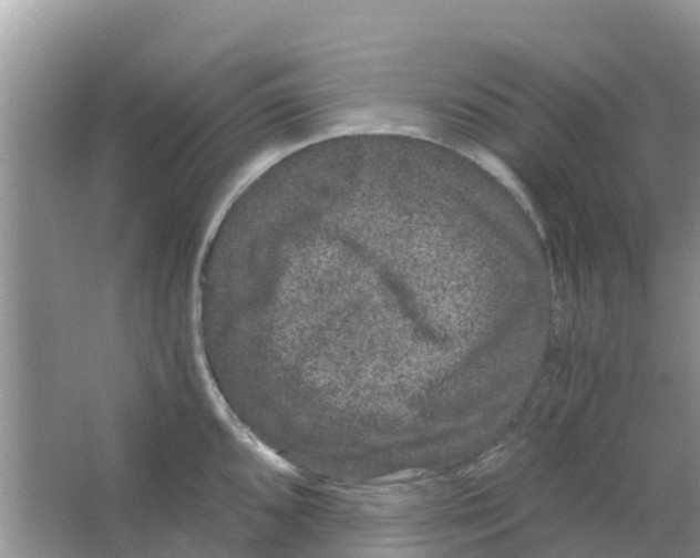 X0000063501096200602172112