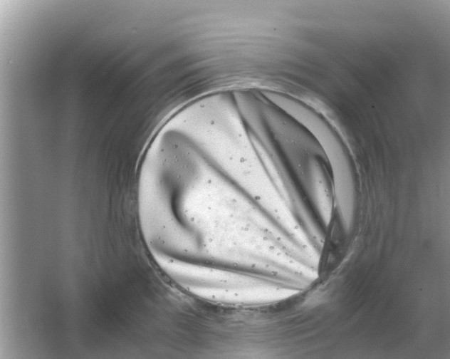 X0000063501097200602172112