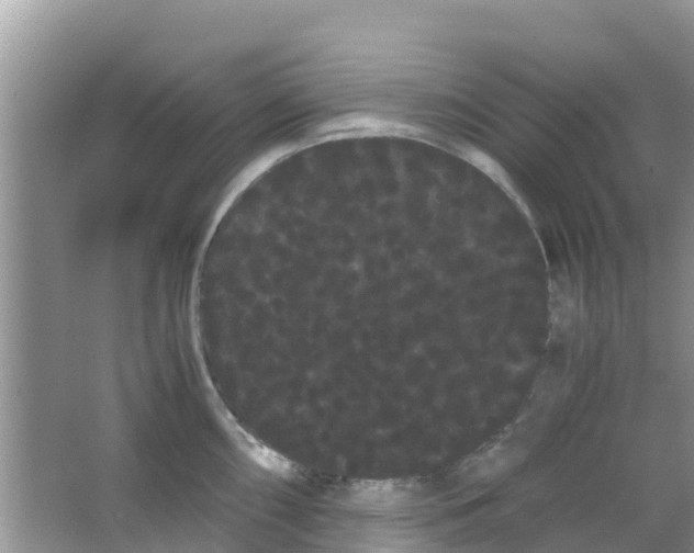 X0000063501098200602172112