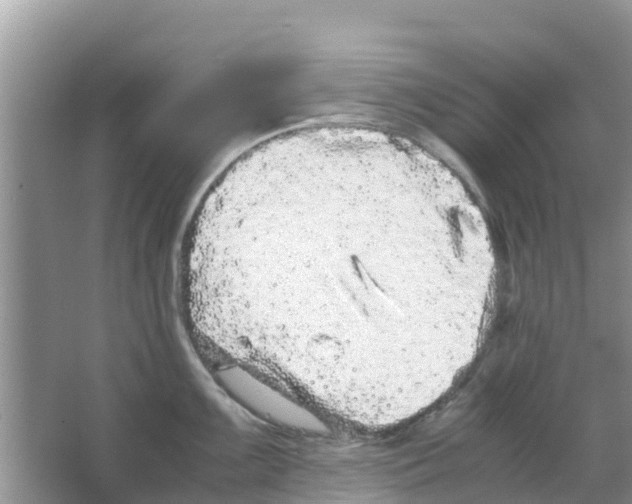 X0000063501099200602172112