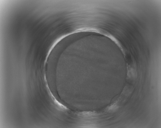 X0000063501102200602172112