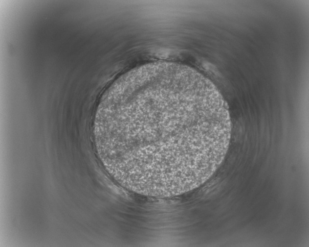 X0000063501105200602172111