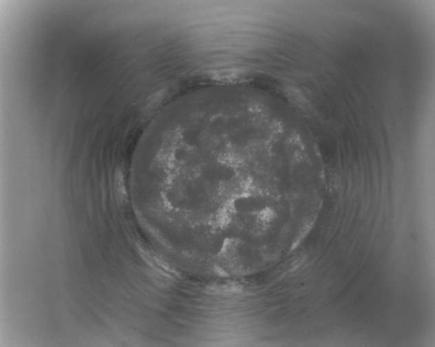 X0000063501106200602172111