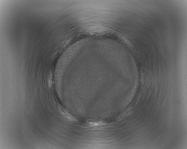 X0000063501108200602172111