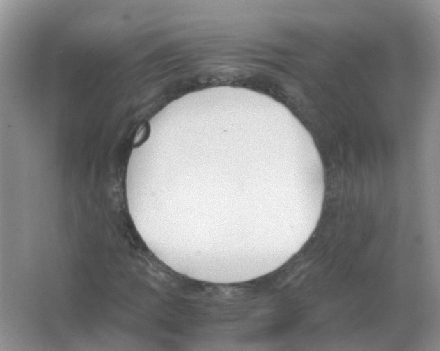 X0000063501109200602172111