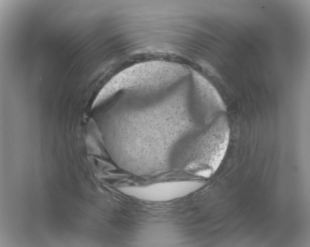 X0000063501110200602172111