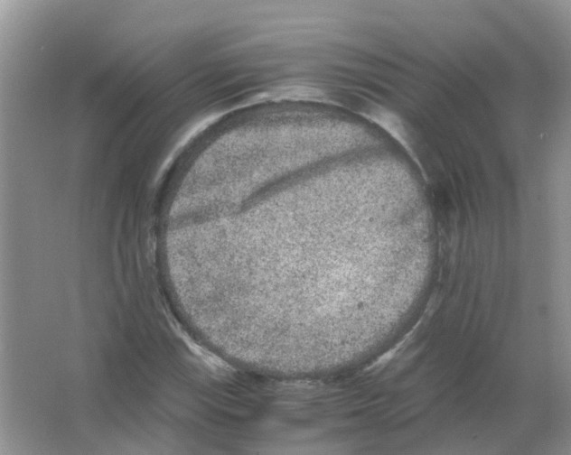 X0000063501115200602172111