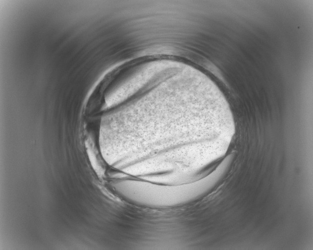 X0000063501116200602172111