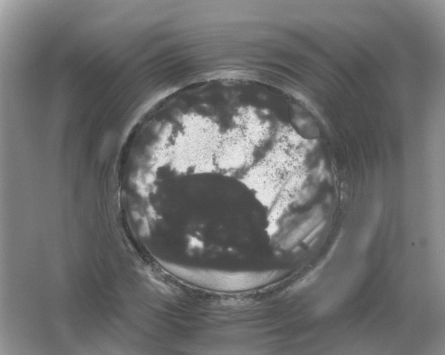 X0000063501117200602172111