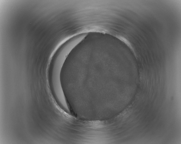 X0000063501120200602172111