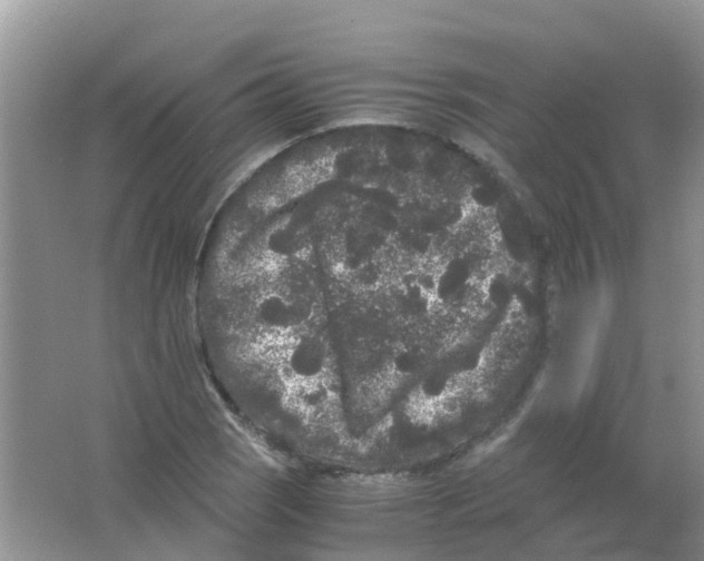 X0000063501121200602172111