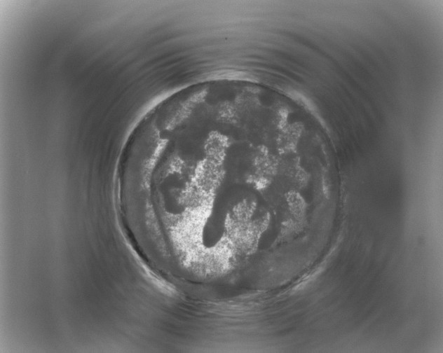 X0000063501125200602172111