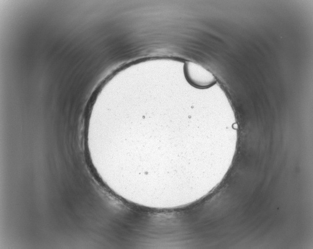 X0000063501126200602172111