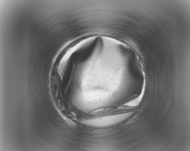 X0000063501128200602172111