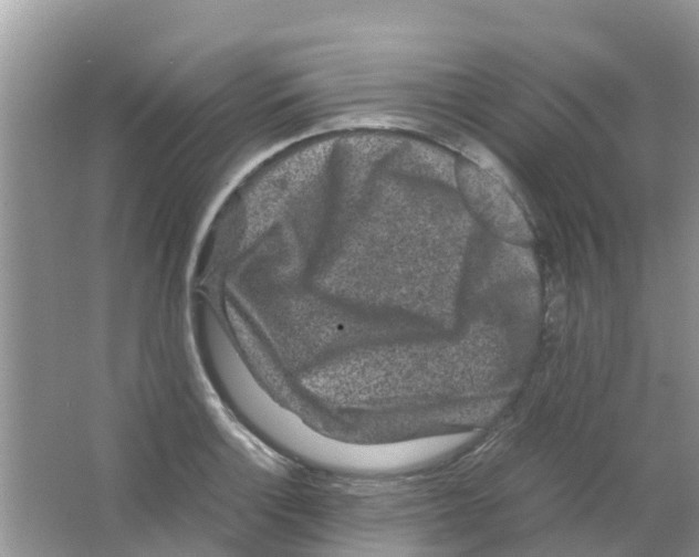 X0000063501132200602172111